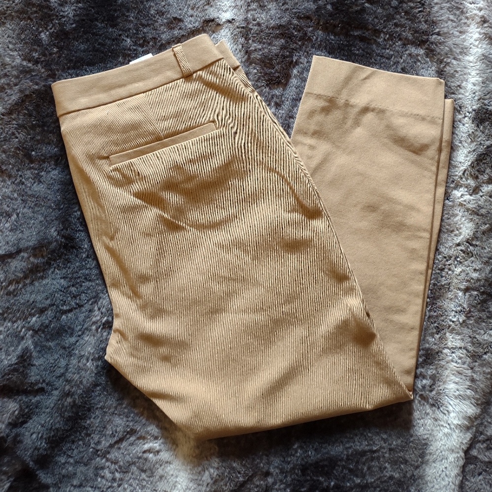 Banana Republic Sloan Pants